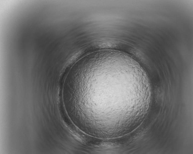 X0000067390490200604071757