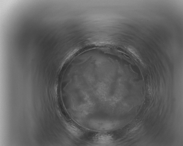 X0000067390491200604071757