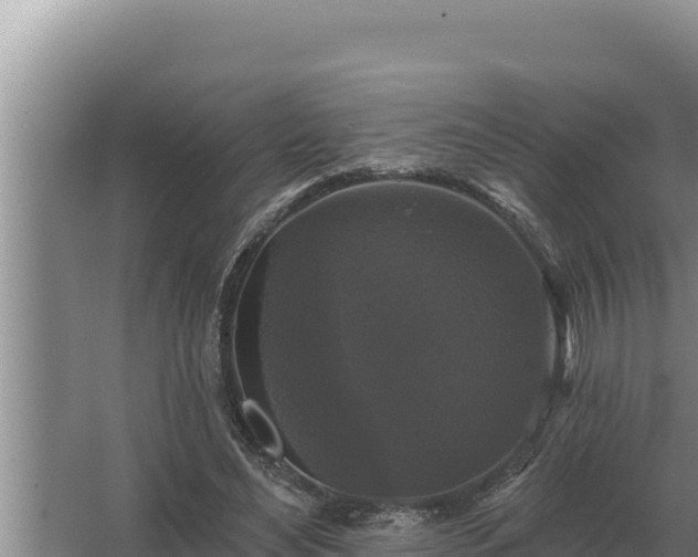 X0000067390492200604071757