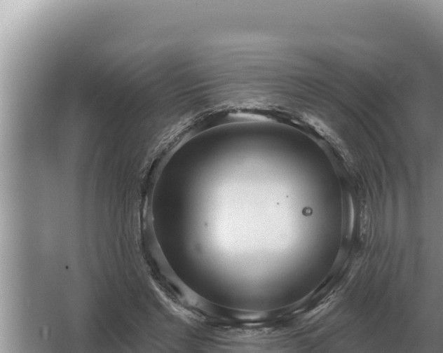 X0000067390493200604071757