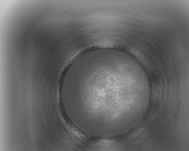 X0000067390494200604071757