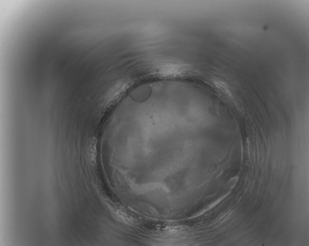 X0000067390495200604071757