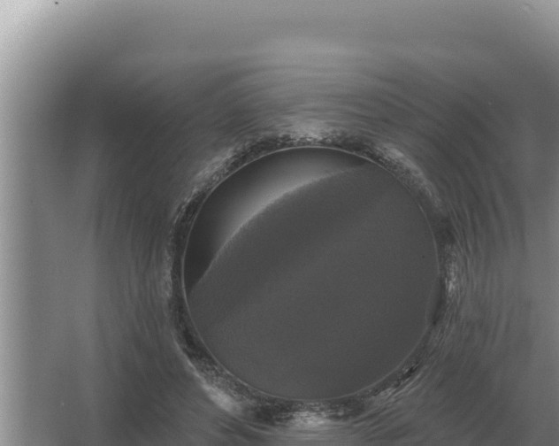 X0000067390496200604071757