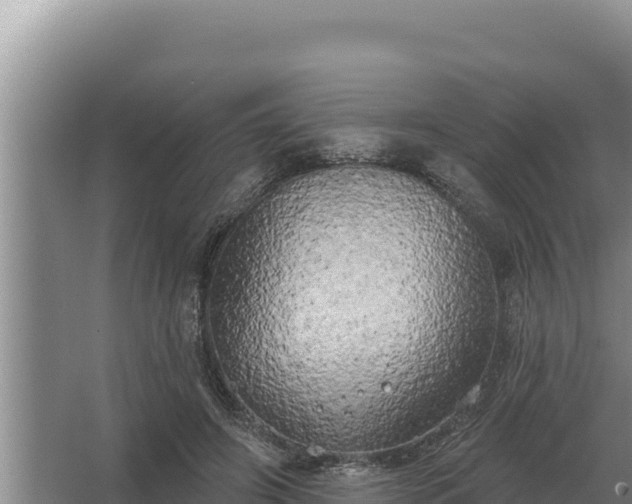 X0000067390498200604071757