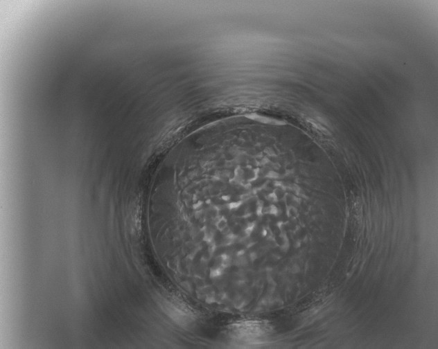 X0000067390499200604071757