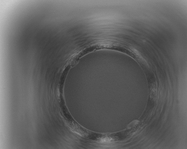 X0000067390500200604071757