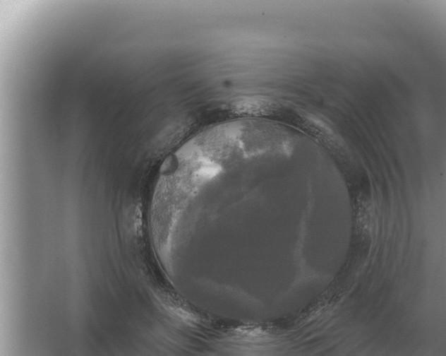 X0000067390502200604071757