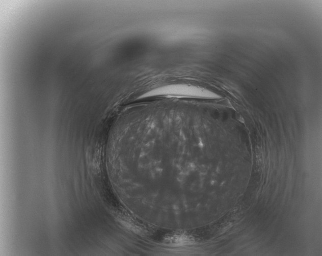 X0000067390503200604071757