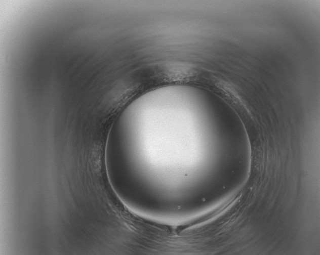 X0000067390505200604071757