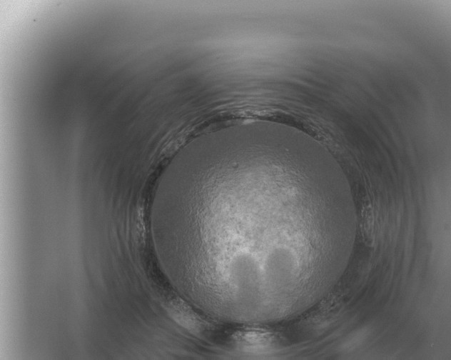 X0000067390506200604071757