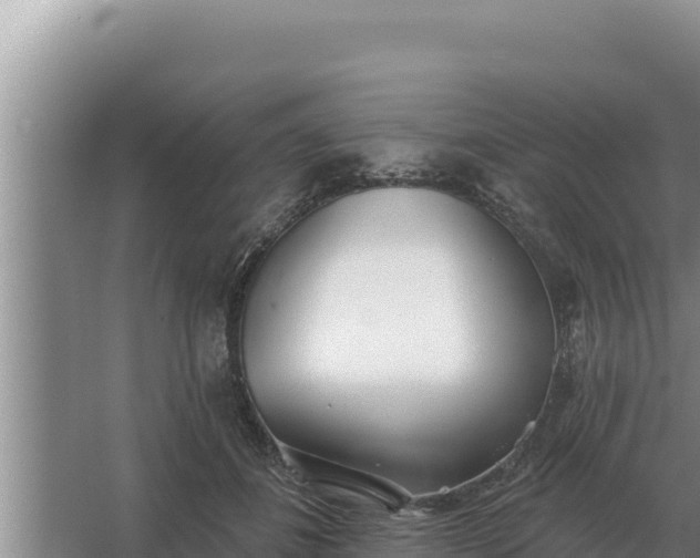 X0000067390508200604071757