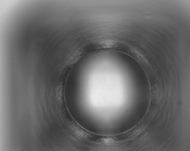 X0000067390509200604071757