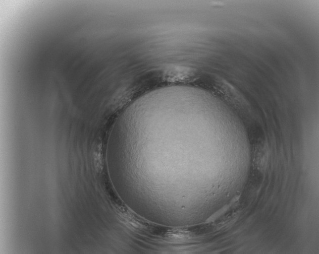 X0000067390510200604071757