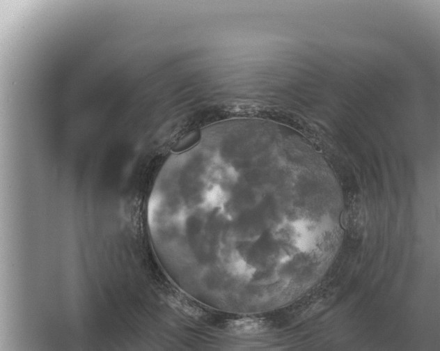 X0000067390511200604071757