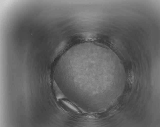 X0000067390512200604071757