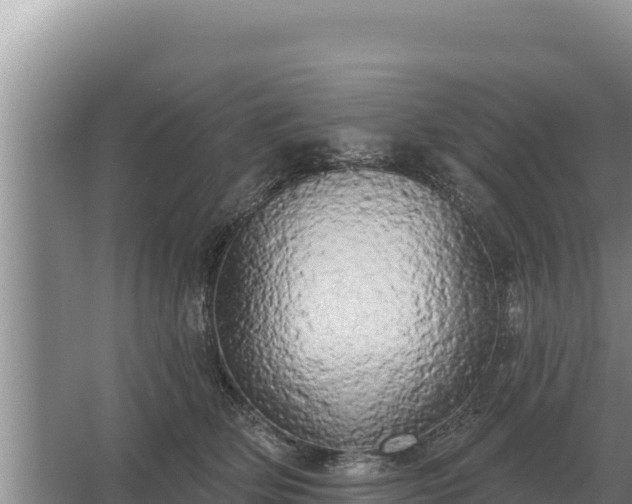 X0000067390514200604071757