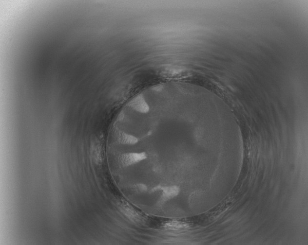 X0000067390515200604071757