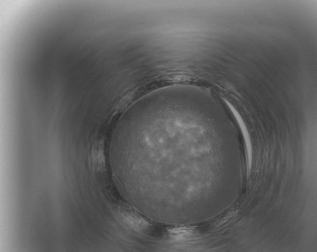 X0000067390516200604071757