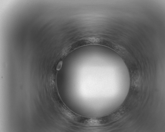 X0000067390518200604071757