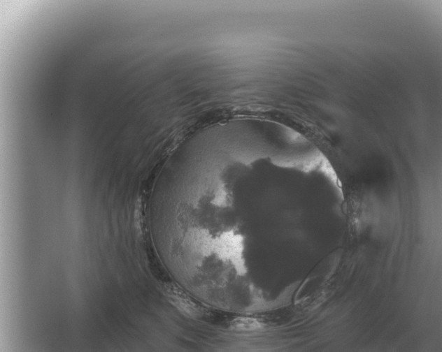 X0000067390519200604071757