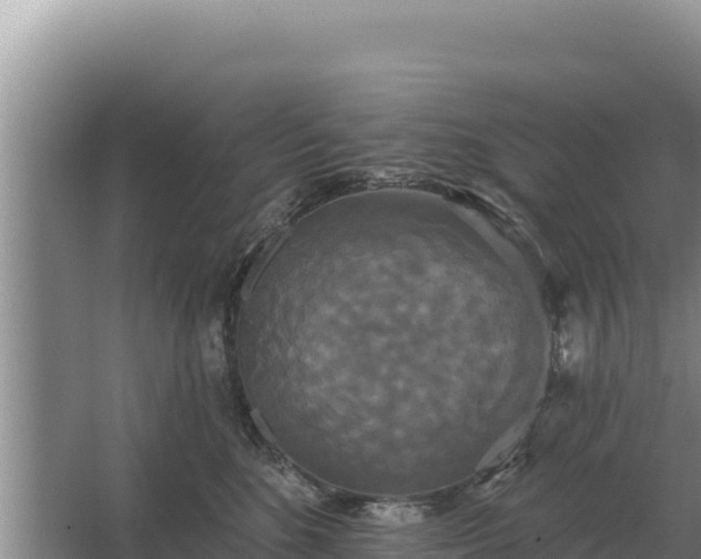 X0000067390520200604071757