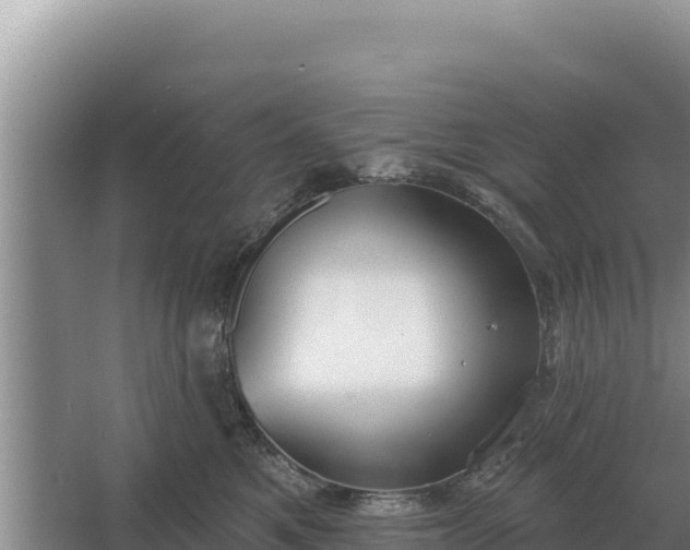 X0000067390521200604071757