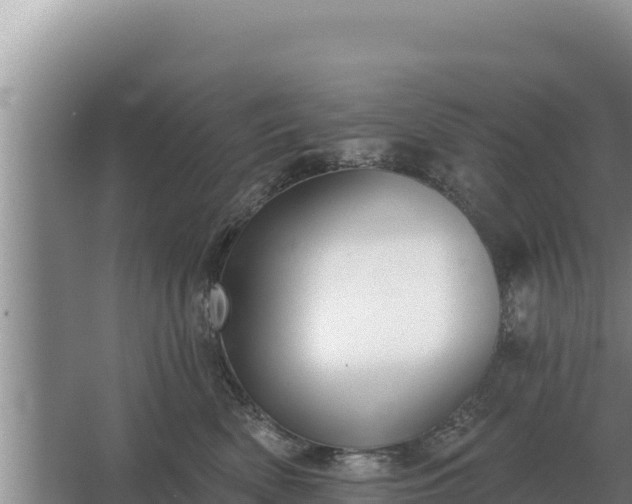 X0000067390522200604071757