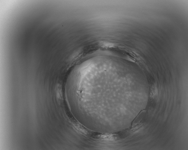 X0000067390524200604071757