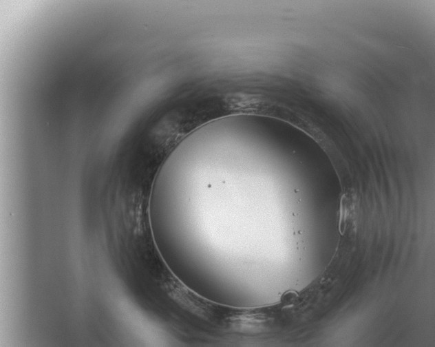 X0000067390525200604071757