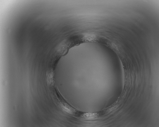 X0000067390526200604071757