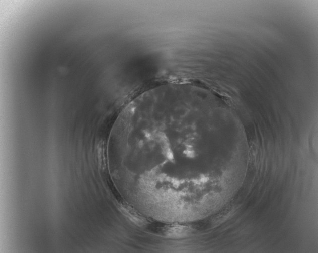 X0000067390527200604071757