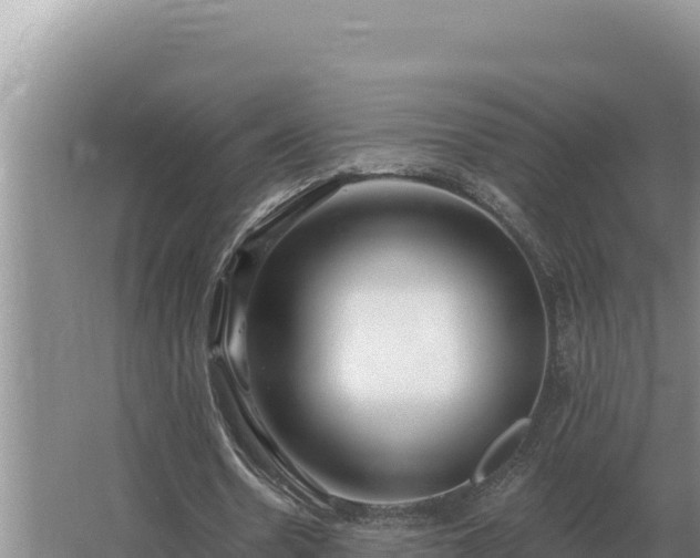 X0000067390530200604071756