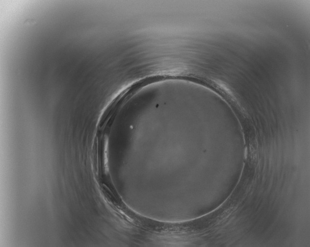 X0000067390532200604071756