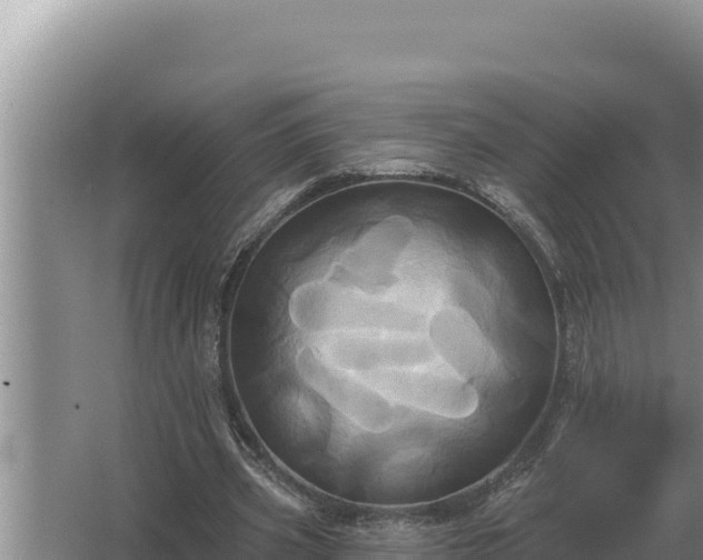 X0000067390533200604071756