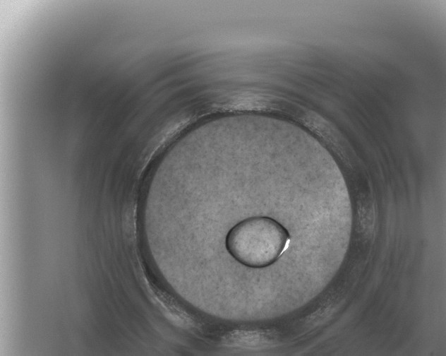 X0000067390534200604071756