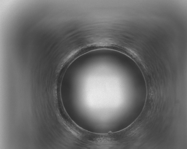 X0000067390535200604071756