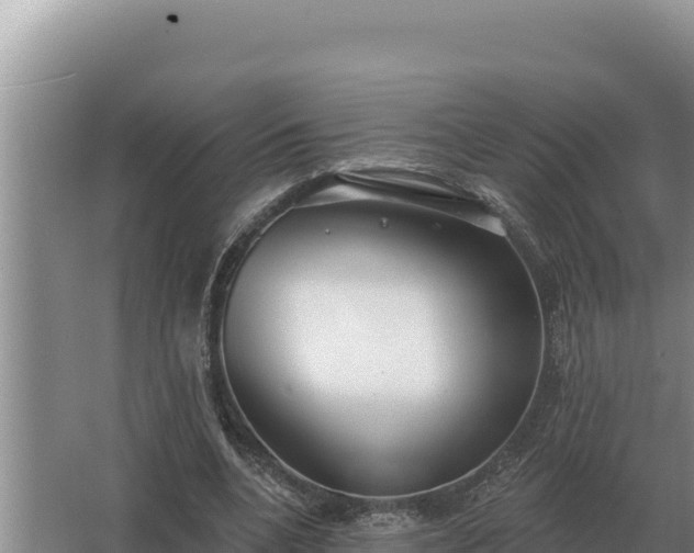 X0000067390536200604071756