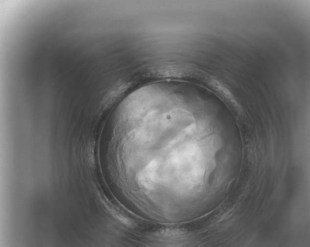 X0000067390537200604071756