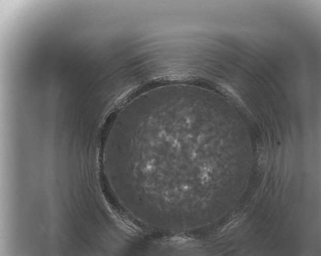 X0000067390542200604071756