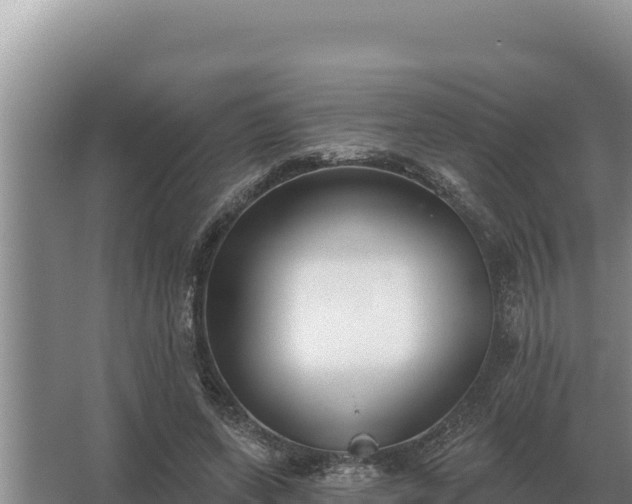 X0000067390543200604071756