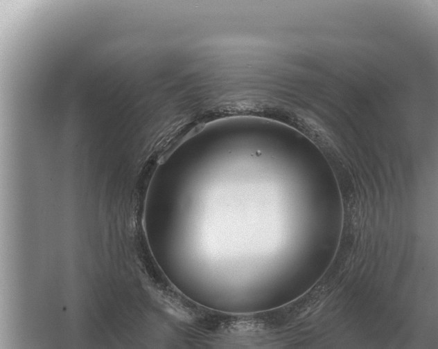 X0000067390546200604071756