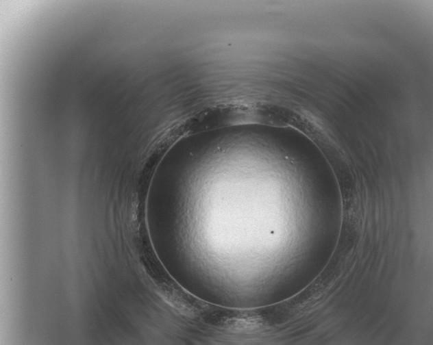 X0000067390548200604071756