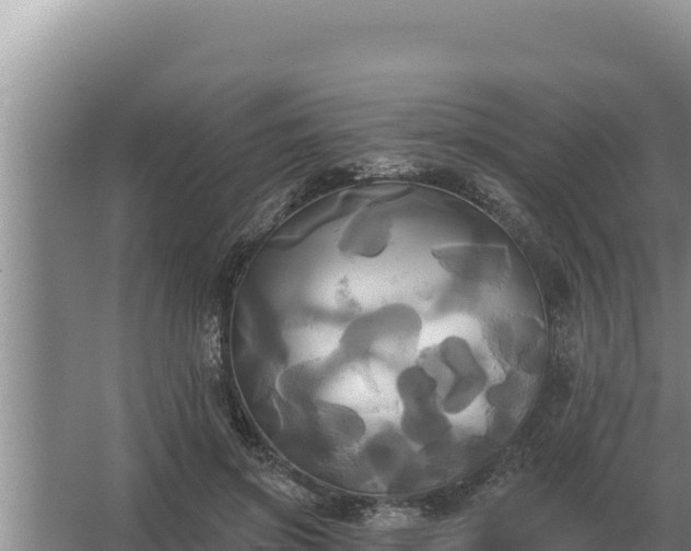 X0000067390549200604071756