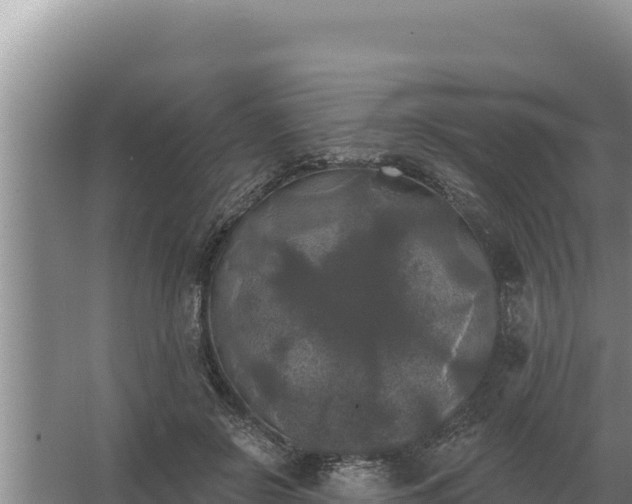 X0000067390550200604071756