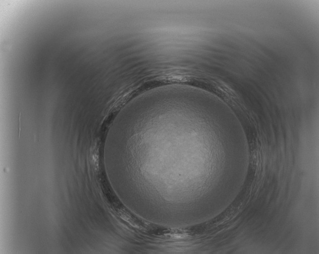 X0000067390552200604071756