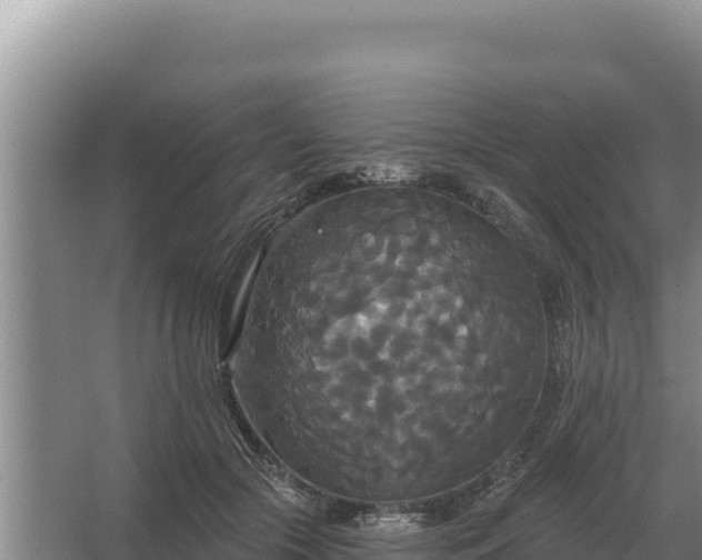 X0000067390553200604071756