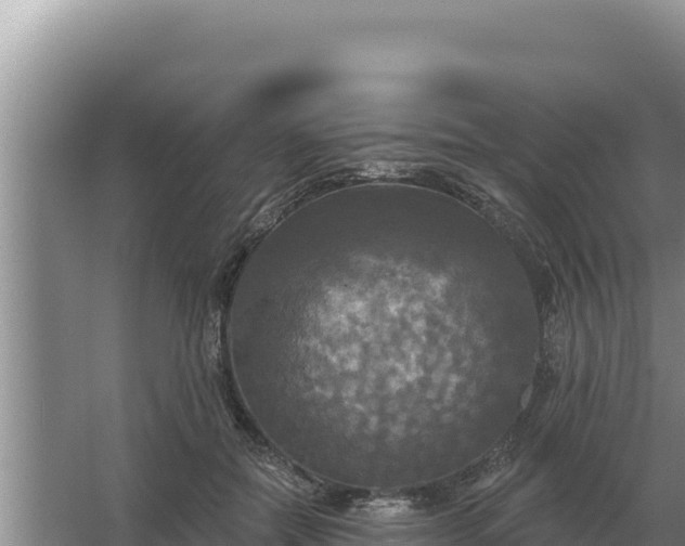 X0000067390554200604071756