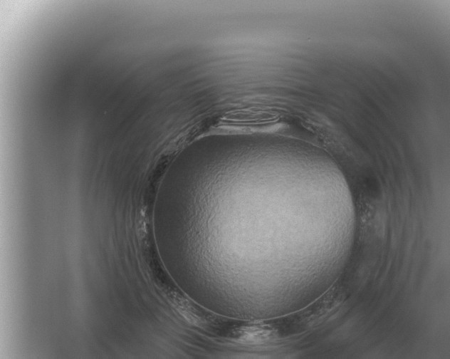 X0000067390555200604071756