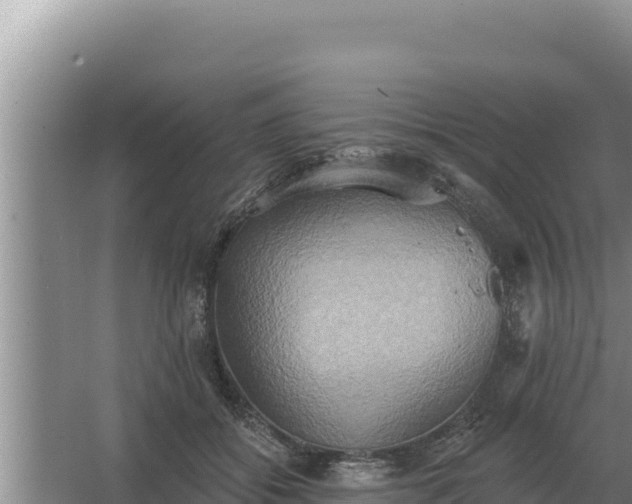 X0000067390556200604071756