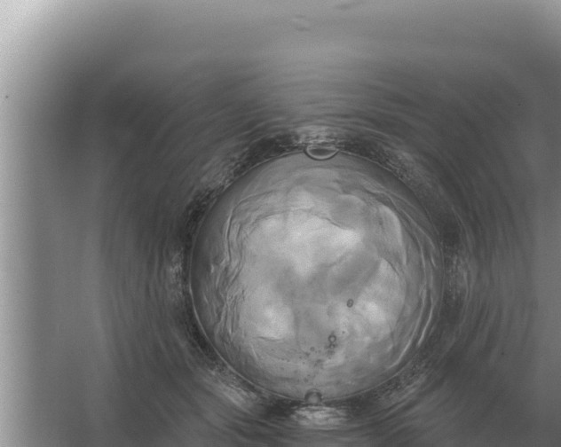 X0000067390557200604071756